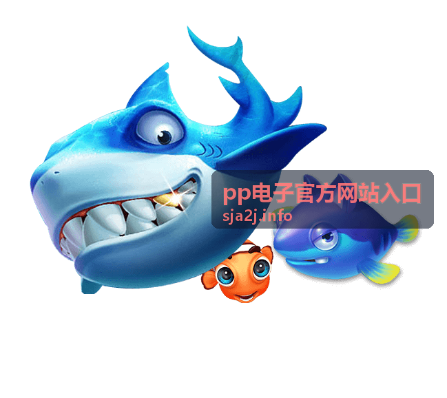 pp电子官方网站入口帮助中心服务卡片